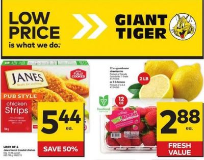Giant Tiger Canada Flyer Deals February 28th – March 5th