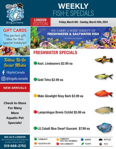 Big Al's (London) Weekend Specials March 8 to 10