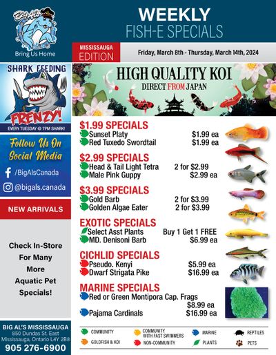 Big Al's (Mississauga) Weekly Specials March 8 to 14