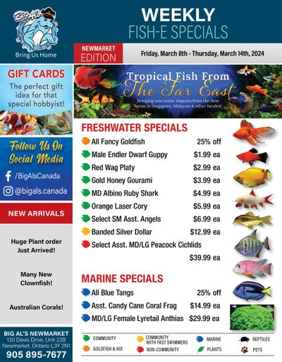 Big Al's (Newmarket) Weekly Specials March 8 to 14