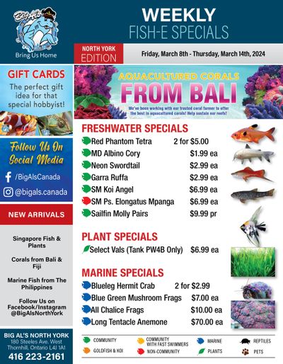 Big Al's (North York) Weekly Specials March 8 to 14