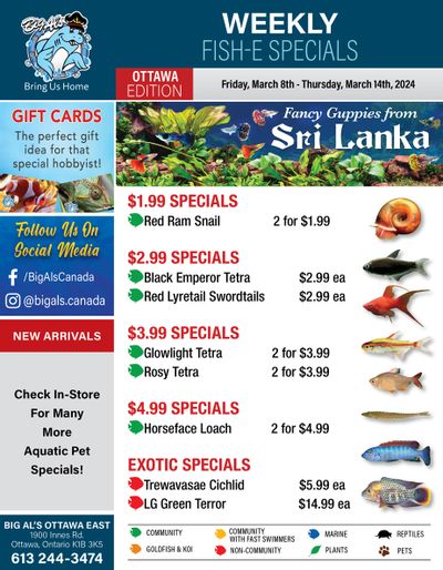 Big Al's (Ottawa East) Weekly Specials March 8 to 14