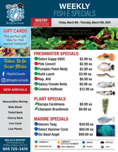 Big Al's (Whitby) Weekly Specials March 8 to 14