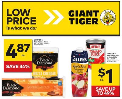Giant Tiger Canada Flyer Deals March 13th – 19th