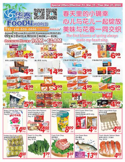 Foody World Flyer March 15 to 21
