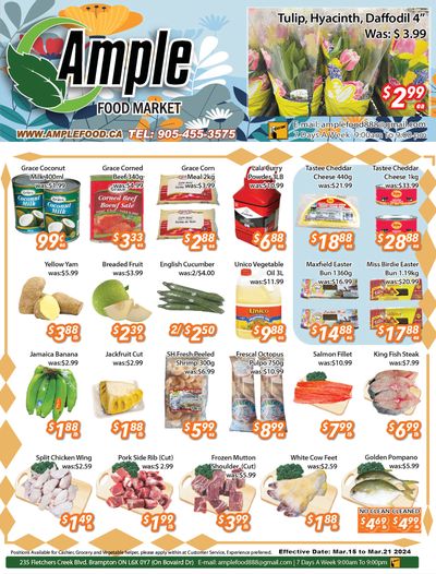 Ample Food Market (Brampton) Flyer March 15 to 21