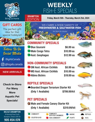 Big Al's (Brampton) Weekly Specials March 15 to 21
