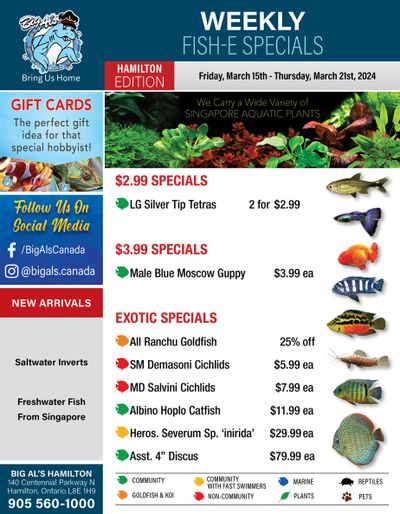 Big Al's (Hamilton) Weekly Specials March 15 to 21