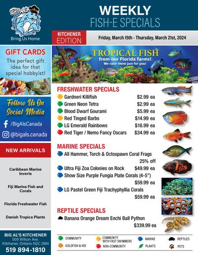 Big Al's (Kitchener) Weekly Specials March 15 to 21