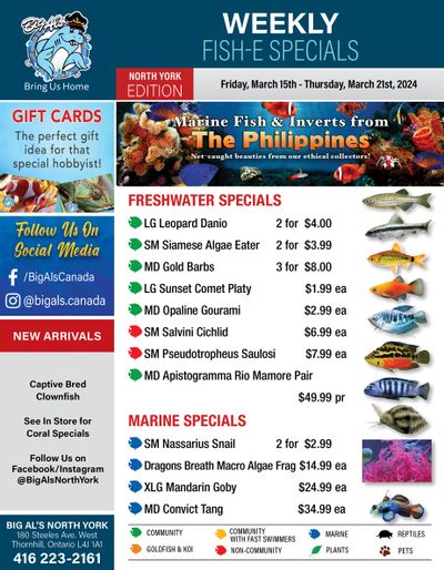 Big Al's (North York) Weekly Specials March 15 to 21