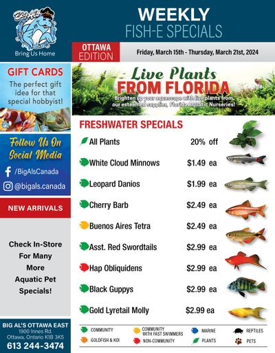 Big Al's (Ottawa) Weekly Specials March 15 to 21
