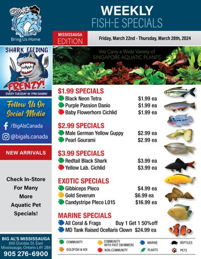 Big Al's (Mississauga) Weekly Specials March 22 to 28