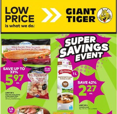 Giant Tiger Canada Flyer Deals March 27th to April 2nd
