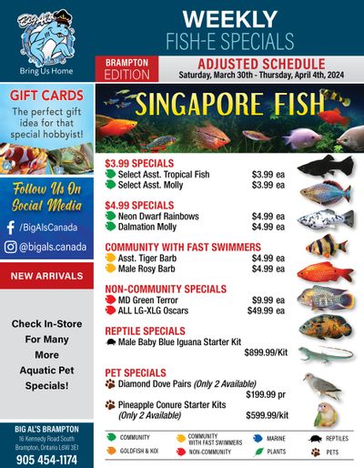 Big Al's (Brampton) Weekly Specials March 30 to April 4