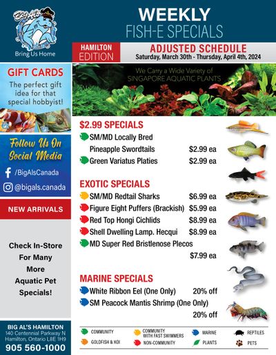 Big Al's (Hamilton) Weekly Specials March 30 to April 4