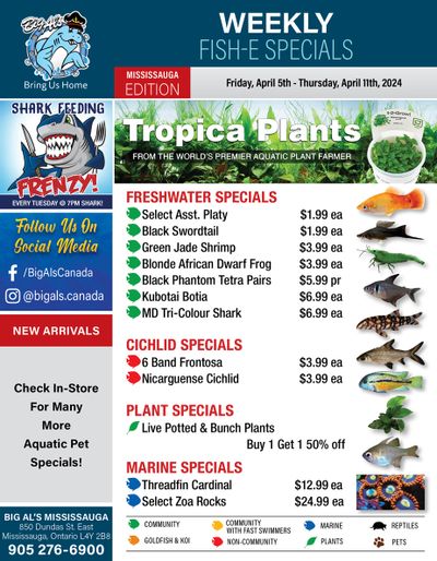 Big Al's (Mississauga) Weekly Specials April 5 to 11