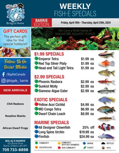 Big Al's (Barrie) Weekly Specials April 19 to 25