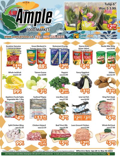 Ample Food Market (Brampton) Flyer April 26 to May 2