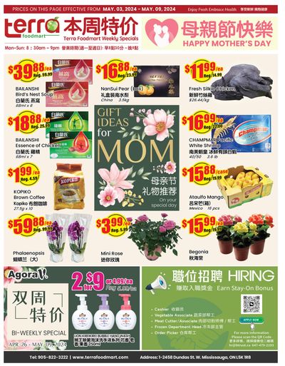 Terra Foodmart Flyer May 3 to 9