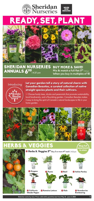 Sheridan Nurseries Flyer May 16 to June 5