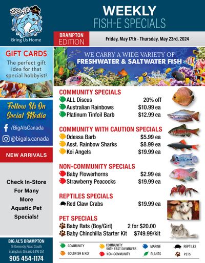 Big Al's (Brampton) Weekly Specials May 17 to 23