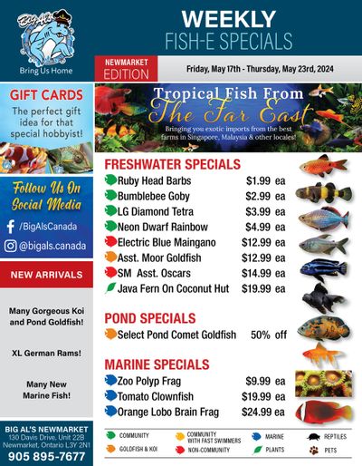 Big Al's (Newmarket) Weekly Specials May 17 to 23