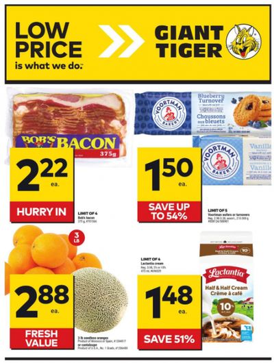 Giant Tiger Canada Flyer Deals May 22nd – 28th
