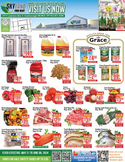 Skyland Food Mart Flyer May 31 to June 6