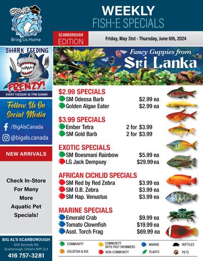 Big Al's (Scarborough) Weekly Specials May 31 to June 6