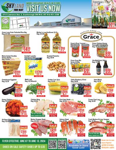 Skyland Food Mart Flyer June 7 to 13