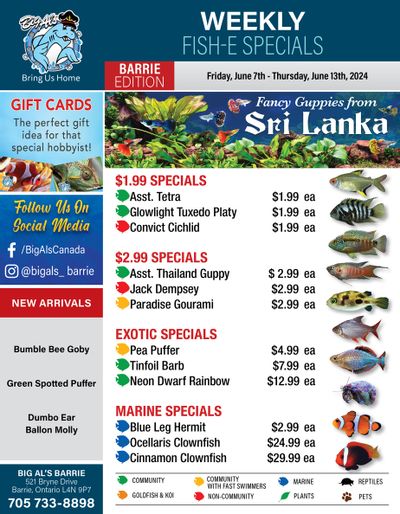 Big Al's (Barrie) Weekly Specials June 7 to 13