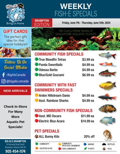 Big Al's (Brampton) Weekly Specials June 7 to 13