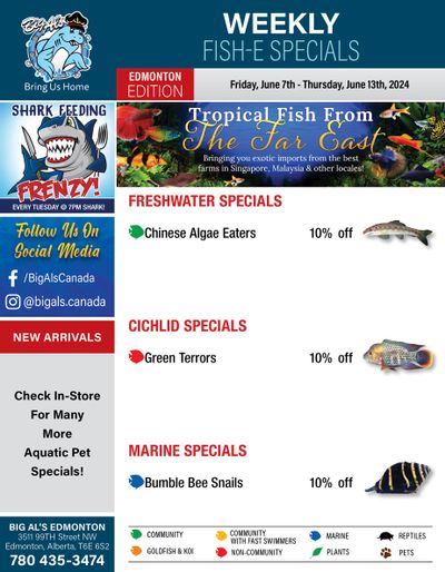 Big Al's (Edmonton) Weekly Specials June 7 to 13