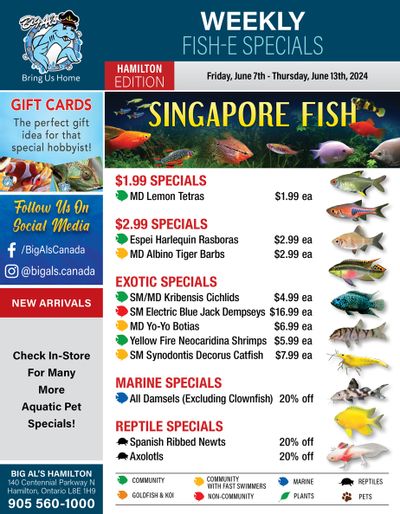 Big Al's (Hamilton) Weekly Specials June 7 to 13