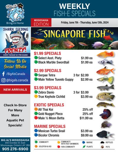 Big Al's (Mississauga) Weekly Specials June 7 to 13