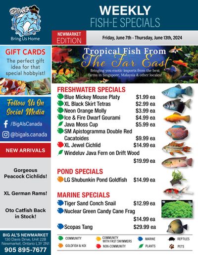 Big Al's (Newmarket) Weekly Specials June 7 to 13