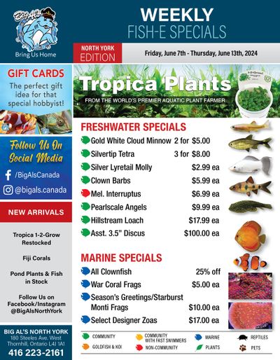 Big Al's (North York) Weekly Specials June 7 to 13 Big Al's (North York) Weekly Specials June 7 to 13
