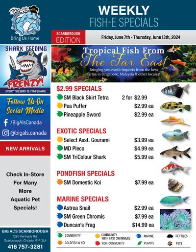 Big Al's (Scarborough) Weekly Specials June 7 to 13