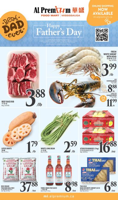 Al Premium Food Mart (Mississauga) Flyer June 13 to 19