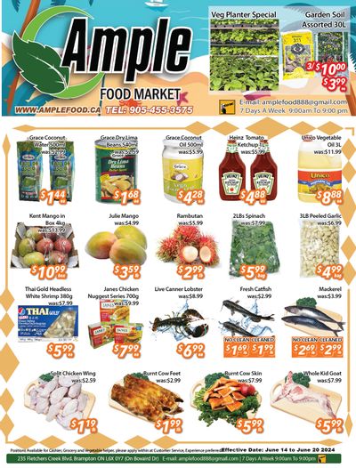 Ample Food Market (Brampton) Flyer June 14 to 20