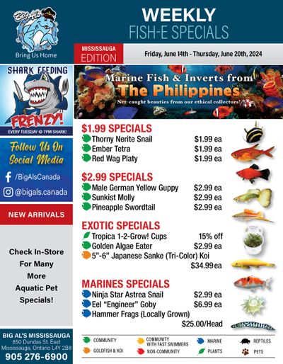 Big Al's (Mississauga) Weekly Specials June 14 to 20