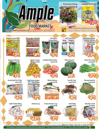 Ample Food Market (Brampton) Flyer June 21 to 27