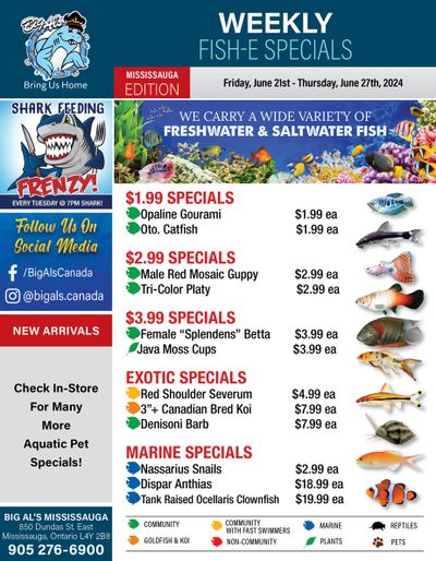 Big Al's (Mississauga) Weekly Specials June 21 to 27