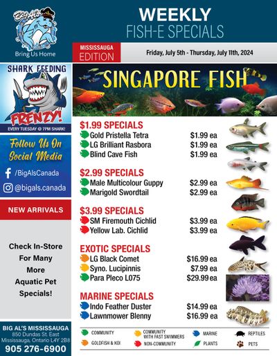 Big Al's (Mississauga) Weekly Specials July 5 to 11