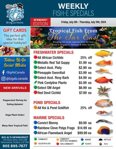 Big Al's (Newmarket) Weekly Specials July 5 to 11