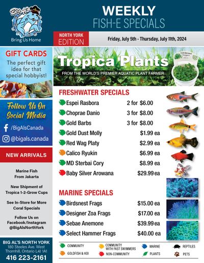 Big Al's (North York) Weekly Specials July 5 to 11