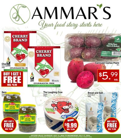 Ammar's Halal Meats Flyer July 11 to 17