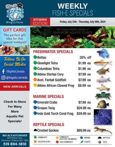 Big Al's (Kitchener) Weekly Specials July 12 to 18