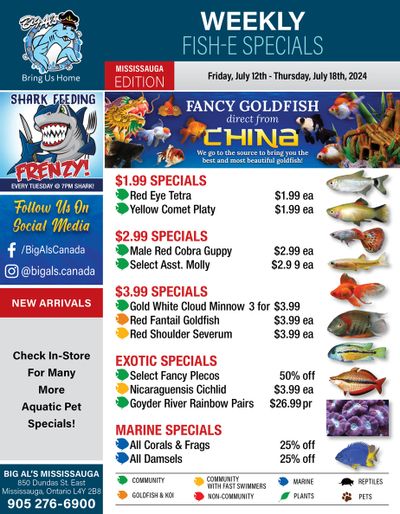 Big Al's (Mississauga) Weekly Specials July 12 to 18