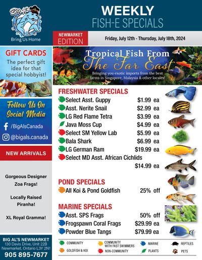 Big Al's (Newmarket) Weekly Specials July 12 to 18
